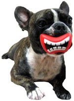 doggy-teeth